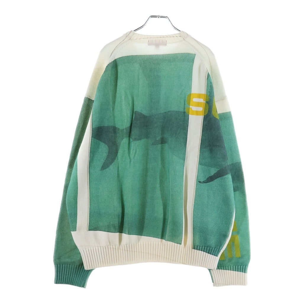 SUPREME(シュプリーム) 25SS Damien Hirst Sweater ダミアンハースト クルーネックニット セーター 厚手 ホワイト/グリーン