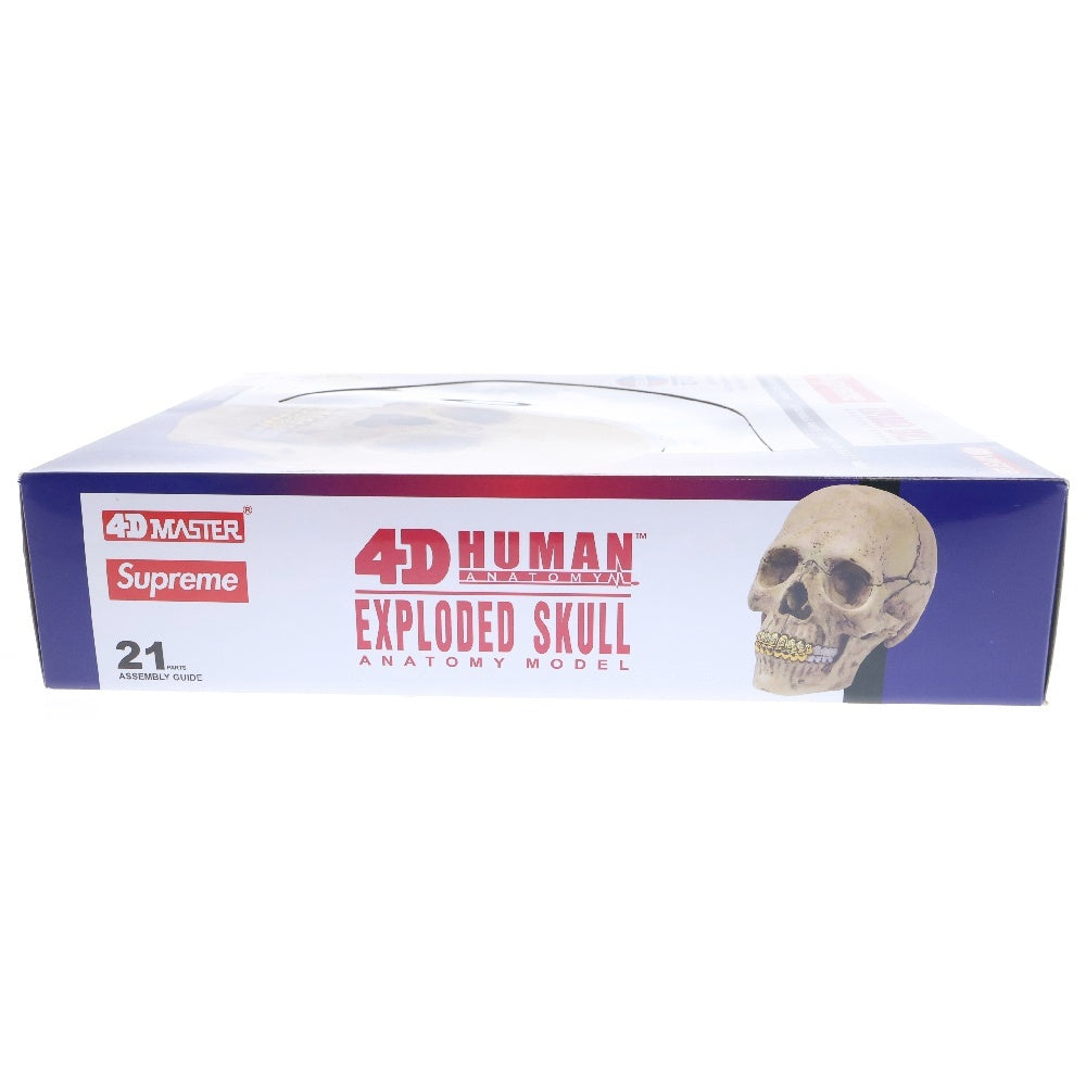 SUPREME(シュプリーム) 23AW 4D Model Human Skull Natural 4Dモデルヒューマンスカルナチュラル ホビー 人形 ホワイト