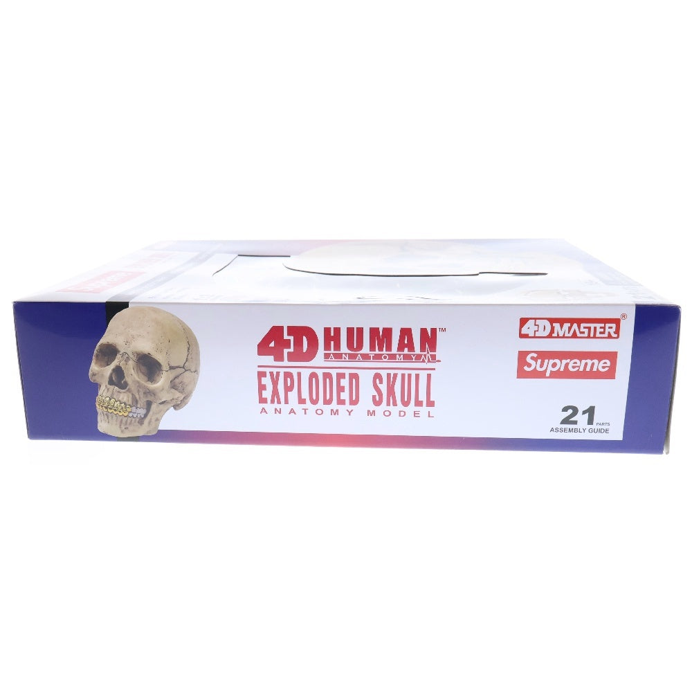 SUPREME(シュプリーム) 23AW 4D Model Human Skull Natural 4Dモデルヒューマンスカルナチュラル ホビー 人形 ホワイト