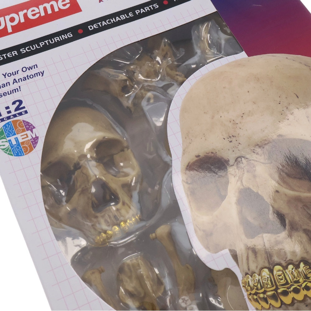 SUPREME(シュプリーム) 23AW 4D Model Human Skull Natural 4Dモデルヒューマンスカルナチュラル ホビー 人形 ホワイト