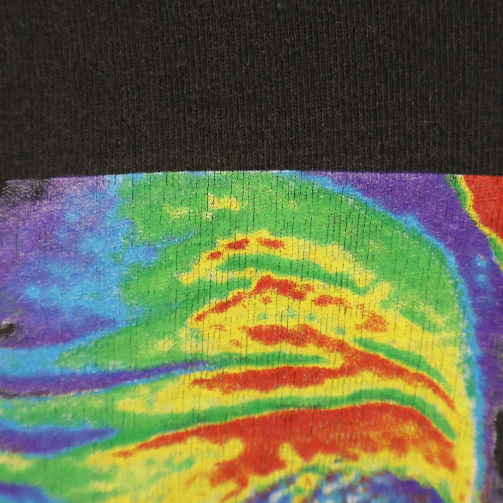 VINTAGE(ヴィンテージ) 90's RED HOT CHILI PEPPERS 1993 THERMOGRAPHY GIANT レッドホットチリペッパーズ サーモグラフィー プリント半袖Tシャツ カットソー ブラック