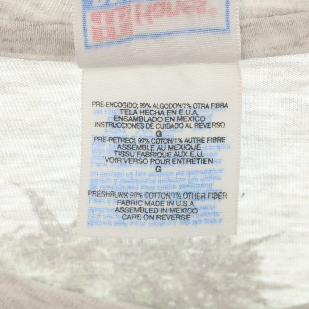 VINTAGE(ヴィンテージ) HAWAIIAN STRENGE HANES ハワイアンストレンジ プリント半袖Tシャツ カットソー グレー