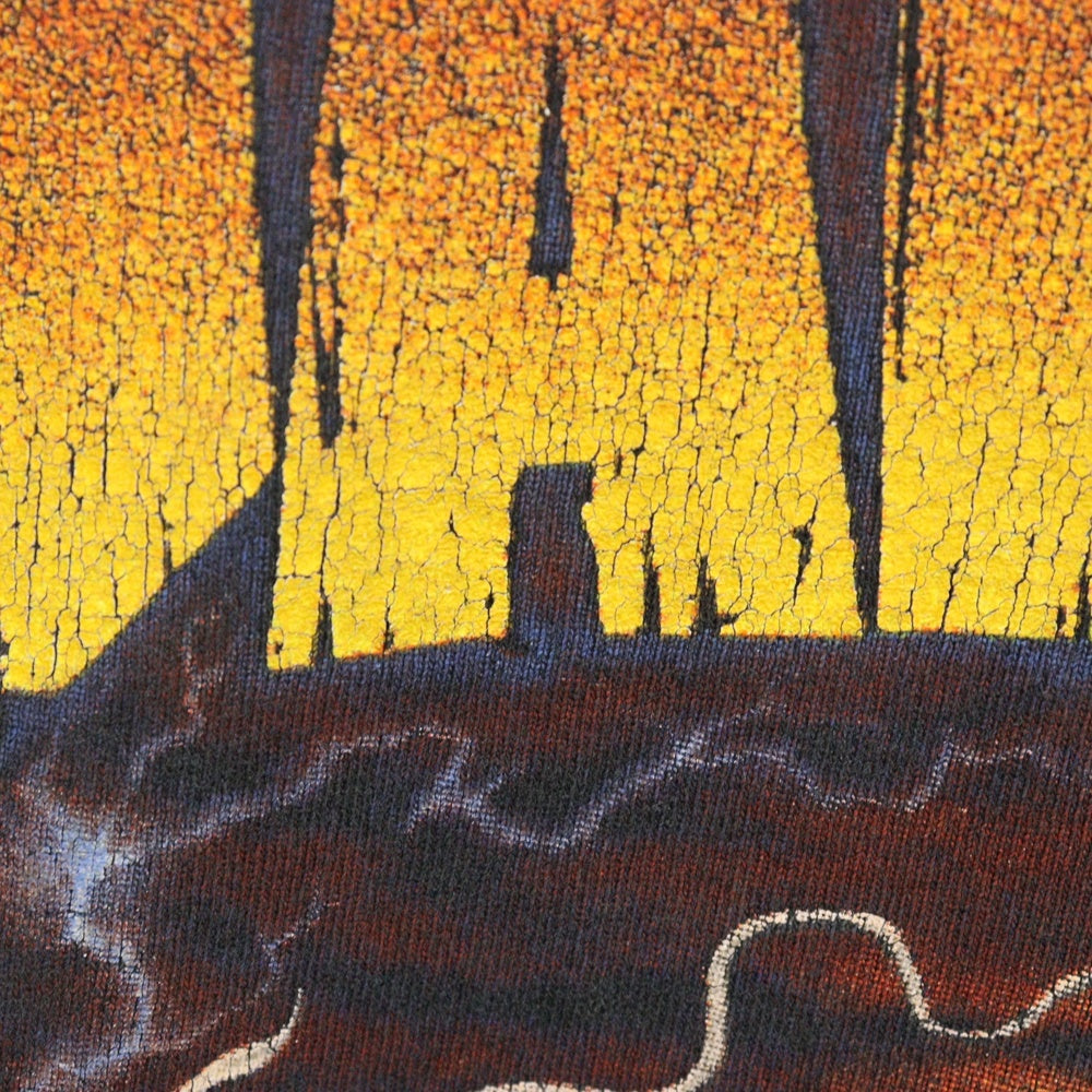 VINTAGE(ヴィンテージ) 90's PANTERA COWBOY FROM HELL WIN パンテラ カウボーイ プリント半袖Tシャツ カットソー ブラック