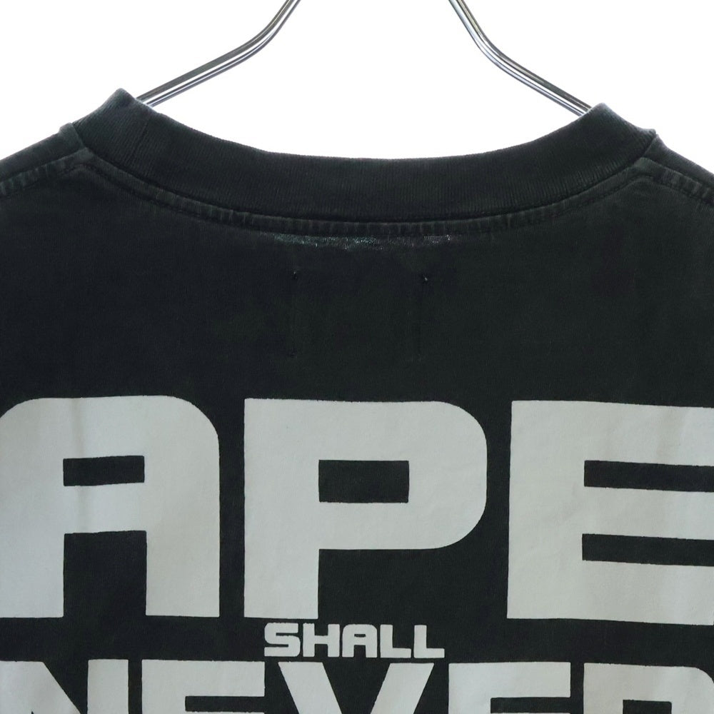 Emotionally Unavailable(エモーショナリー アンアヴェイラブル) 25SS ×A BATHING APE EU BAPE FACE SS TEE EU-HR8-0000-C30 × アベイシングエイプ プリント クルーネック半袖Tシャツカットソー グレー