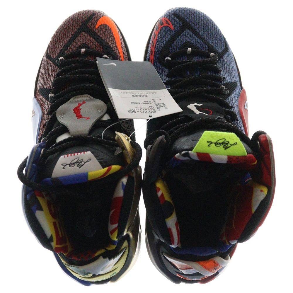NIKE(ナイキ) 【観賞用 2015年製】LEBRON 12 SE802193-909 レブロン12 ハイカットスニーカー シューズ マルチカラー US8/26cm