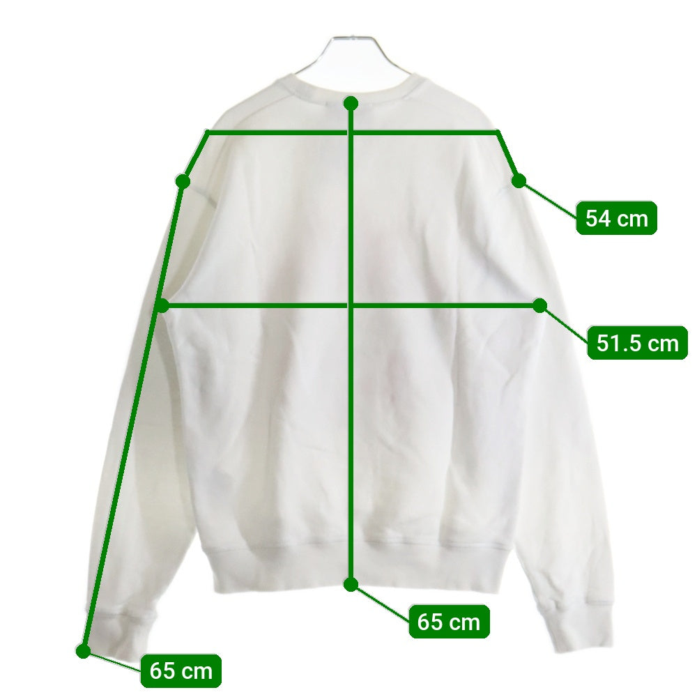DSQUARED2(ディースクエアード) FRONT LOGO SWEAT SHIRT フロントロゴプリントスウェットトレーナー ホワイト S71GU0495