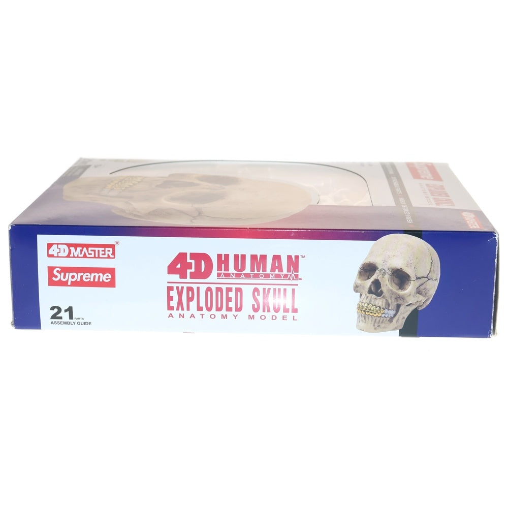SUPREME(シュプリーム) 23AW 4D MASTER 4D HUMAN ANATOMY MODEL EXPLODED SKULL マスターヒューマンアナトミーモデルイクスプローディドスカル フィギュア