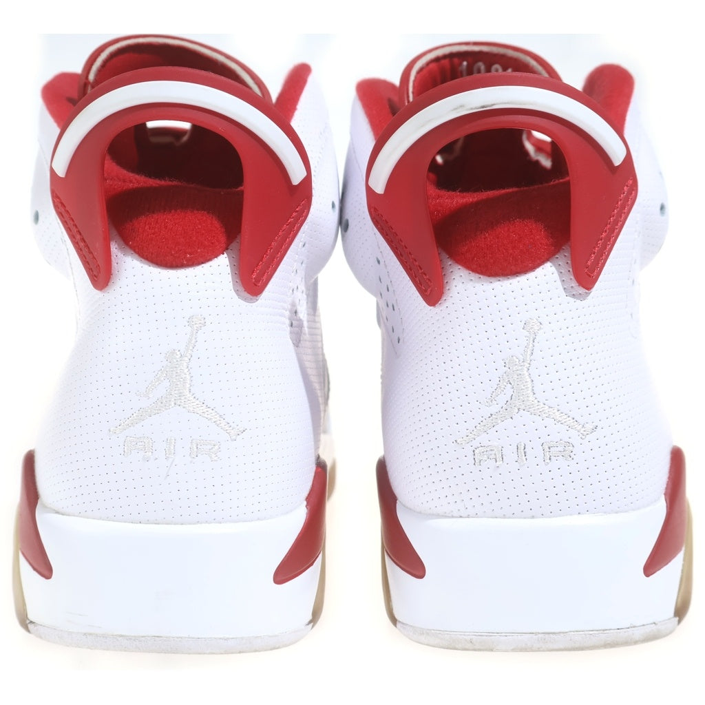 NIKE(ナイキ) Air Jordan 6 Retro Altenate Hare エアジョーダン6 レトロ オルタネイト ヘア US8/26cm ホワイト 384664 113