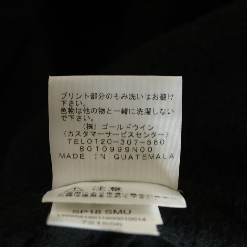 SUPREME(シュプリーム) 18SS ×THE NORTH FACE Metallic Logo Hooded Sweatshirt NT11807I ザノースフェイス メタリックロゴ プルオーバーパーカー フーディー ブラック