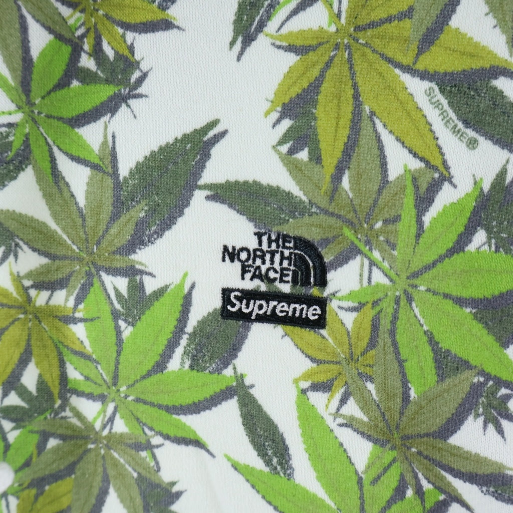 SUPREME(シュプリーム) 23AW x The North Face Leaf Hooded Sweatshirt NF0A875K ノースフェイス リーフ プルオーバー長袖スウェットパーカー フーディ ホワイト