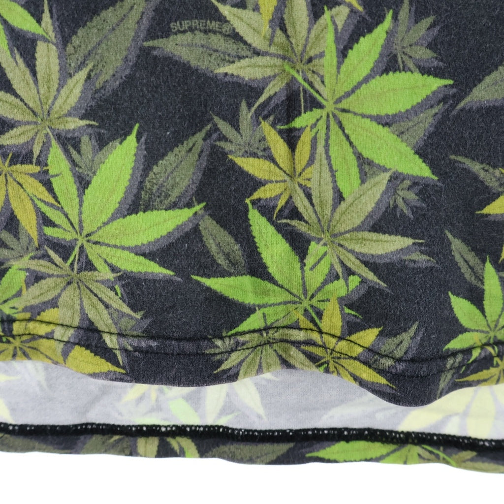 SUPREME(シュプリーム) 23AW ×THE NORTH FACE Leaf S/S Top NT52303I ザノースフェイス リーフショートスリーブトップ プリント半袖Tシャツ ホワイト/グリーン