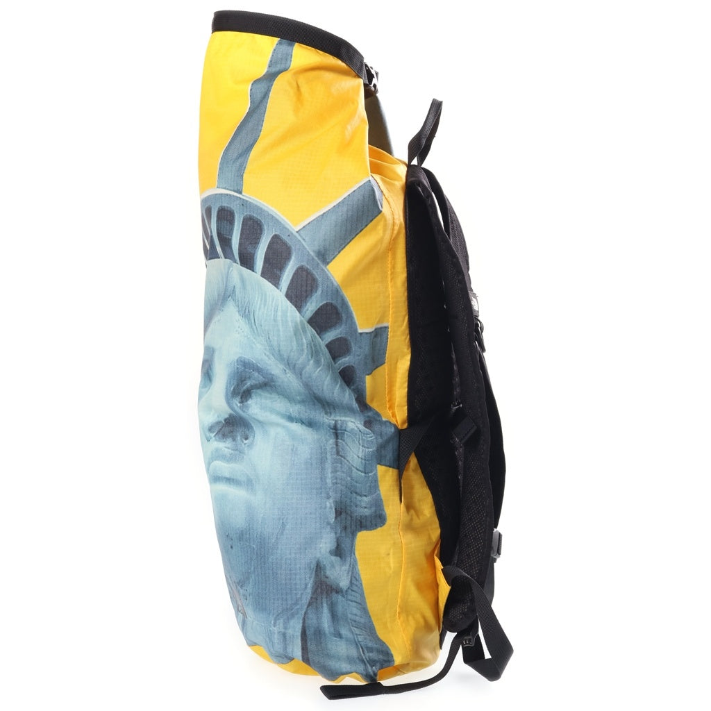 THE NORTH FACE PURPLE LABEL(ノースフェイスパープルレーベル) 19AW ×Supreme STATUE OF LIBERTY WATERPROOF BACK PACK バックパック イエロー NM819601