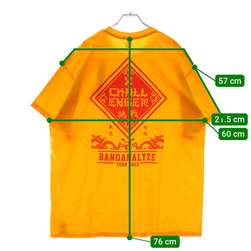 CHALLENGER(チャレンジャー) BD 2023 TOUR TEE 両面プリント クルーネック半袖Tシャツ イエロー CLG-TS-023-040