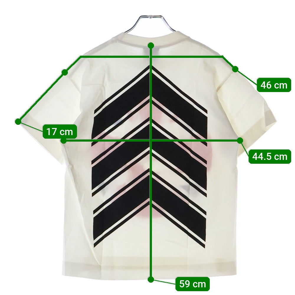 A BATHING APE(アベイシングエイプ) ユニオンジャック フロントプリント クルーネック 半袖Tシャツ ホワイト