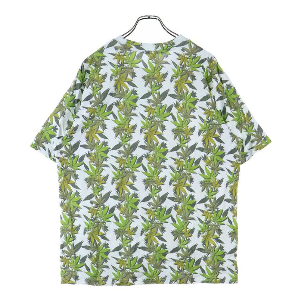 SUPREME(シュプリーム) 23AW ×THE NORTH FACE Leaf S/S Top ザノースフェイス リーフショートスリーブトップ プリント半袖Tシャツ ホワイト/グリーン NT52303I