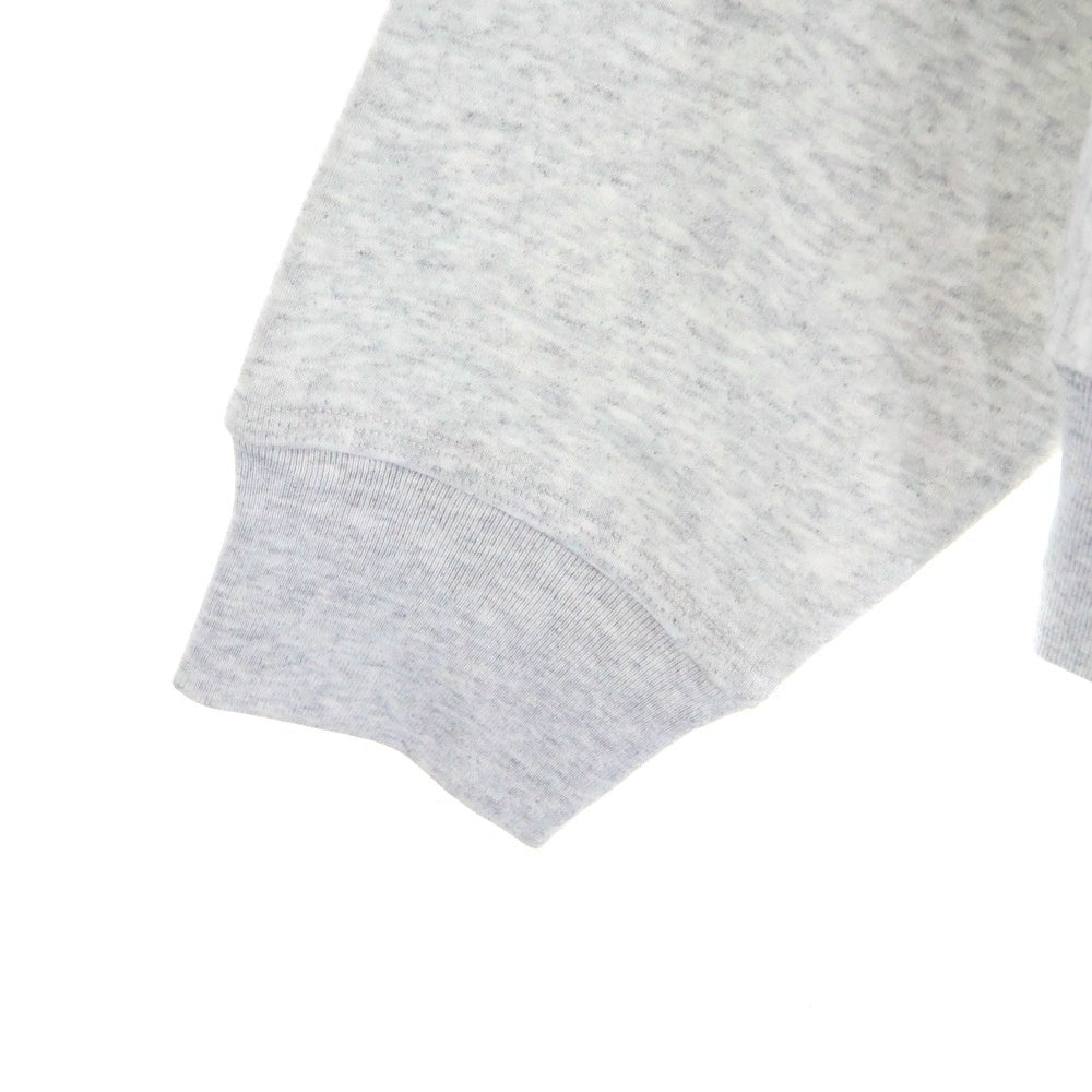 STUSSY(ステューシー) World Tour ワールドツアーロゴ バックプリント ジップアップパーカー フーディー グレー