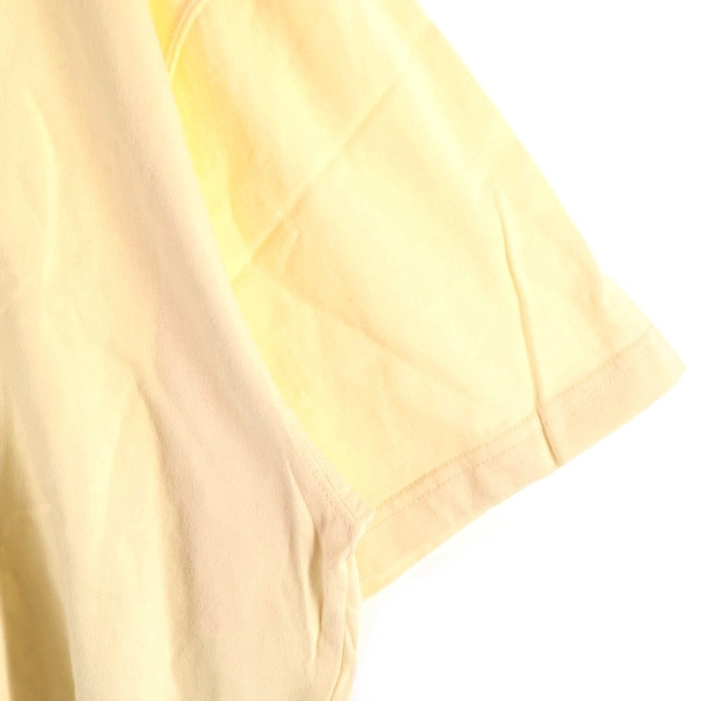 NO BRAND(ノーブランド) ROARK REVIVAL TASTE OF TAHITI TEE ロアーク リバイバル クルーネック 半袖Tシャツ ベージュ RTJM905