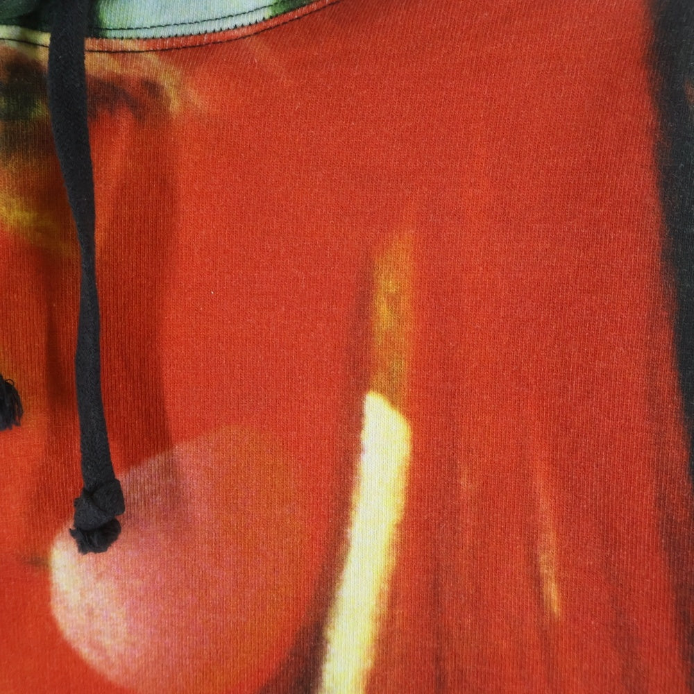 SUPREME(シュプリーム) 19AW The Velvet Underground Nico Hooded Sweatshirt カンガルーポケット ドローストリング フーデッド スウェット パーカー マルチカラー