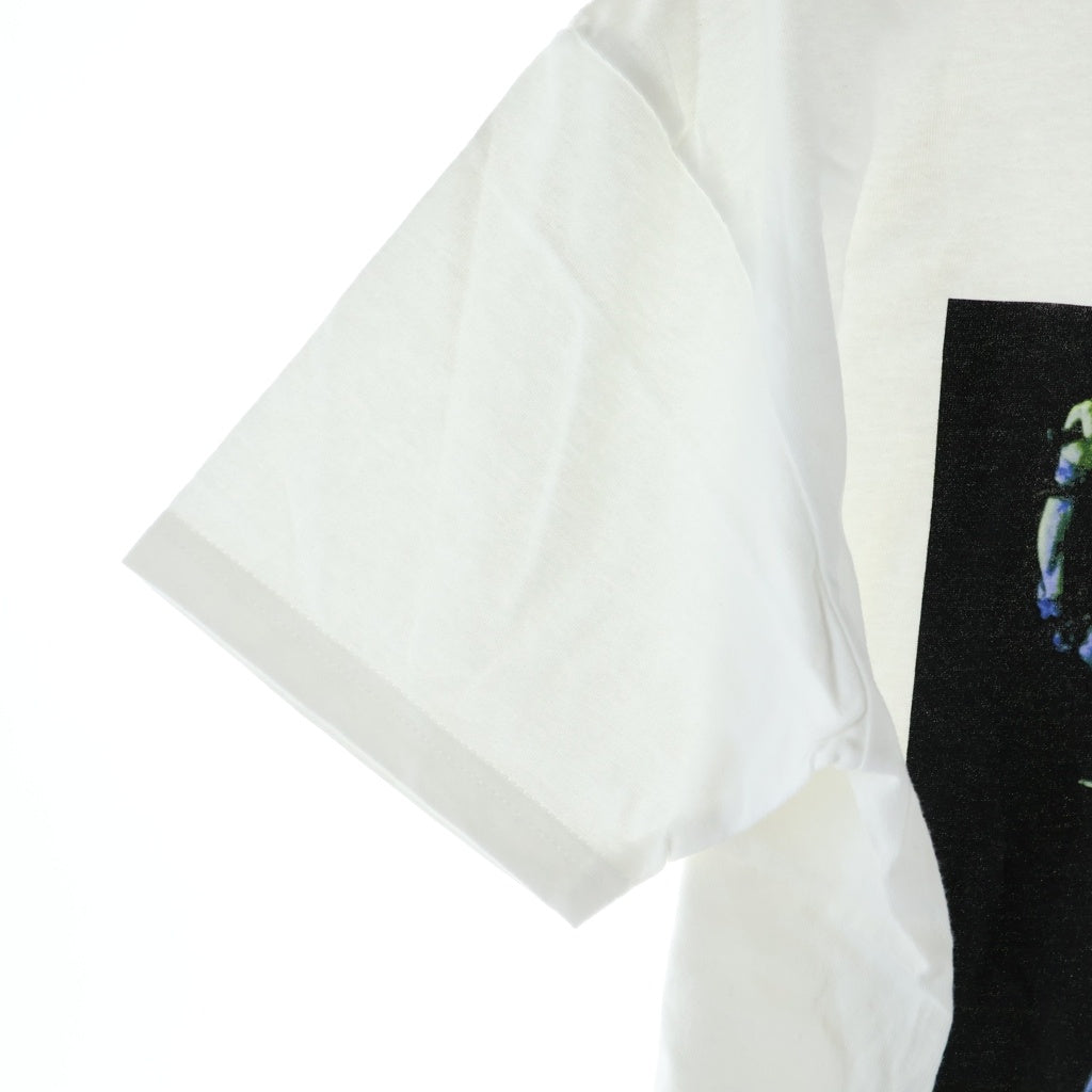SUPREME(シュプリーム) 21SS Rapharl Tee フロントプリント クルーネック 半袖Tシャツ ホワイト
