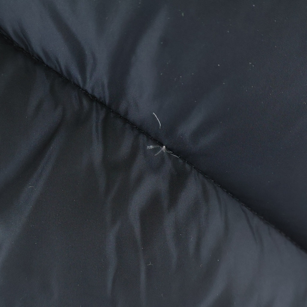 THE NORTH FACE(ザノースフェイス) Ascent Vest アセント ベスト 600フィル ダウンベスト ND-1042 ブラック