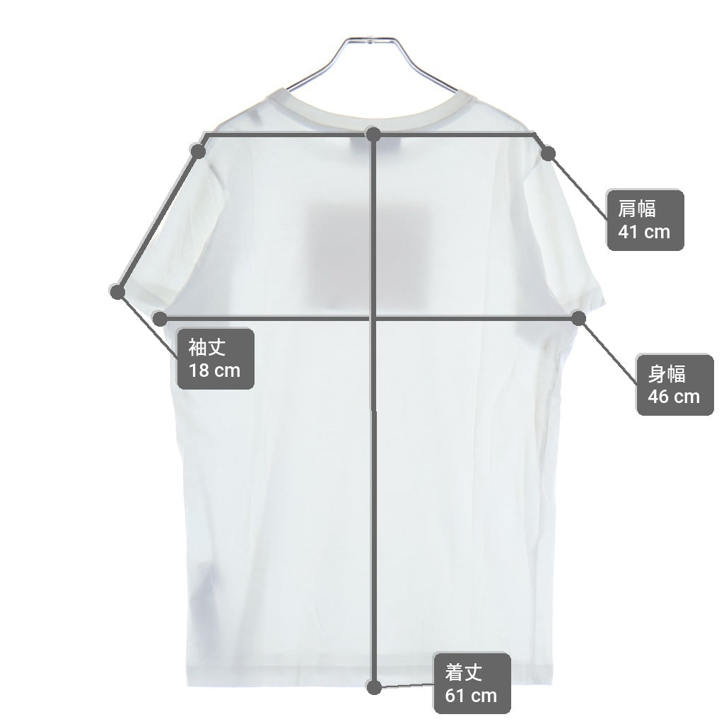 DIESEL(ディーゼル) T-JUST-A36 フロントプリントTシャツ カットソー ホワイト A04239 レディース