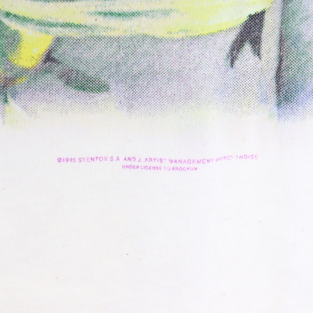 VINTAGE(ヴィンテージ) 90s VINTAGE NINE INCH NAILS DAVID BOWIE TOUR 1995 Hanes ナインインチネイルズ デヴィッドボウイ ツアー プリント クルーネック半袖Tシャツ ホワイト