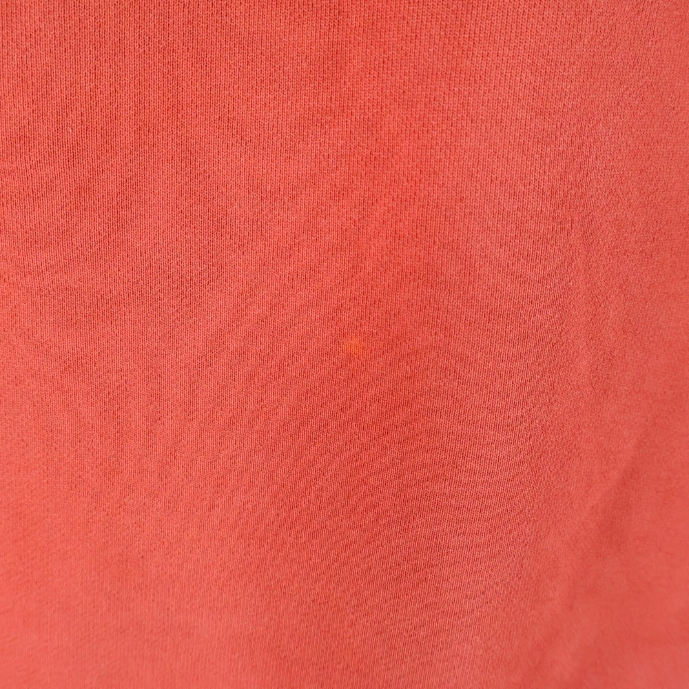 DIESEL(ディーゼル) グラデーション クルーネックスウェット トレーナー ピンク