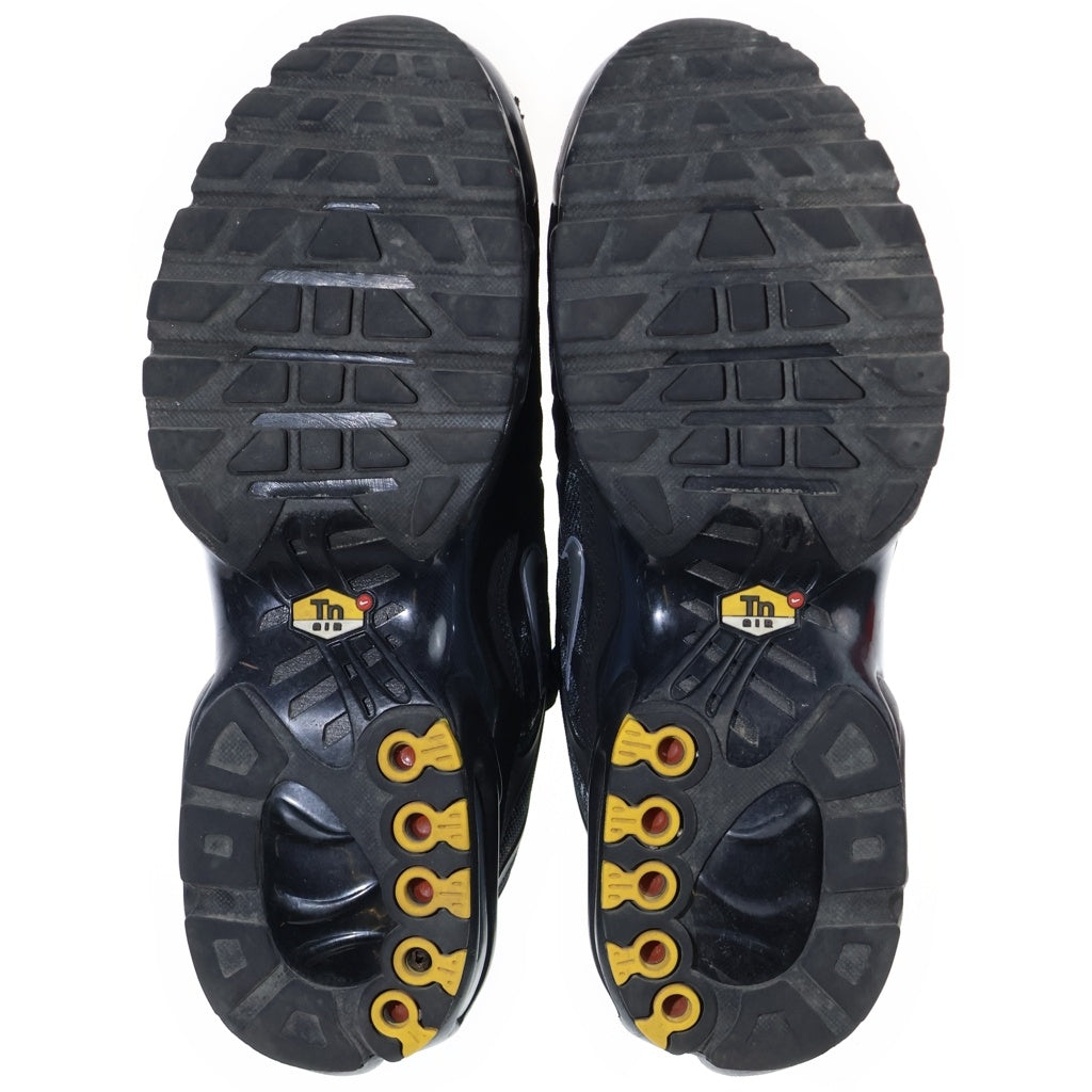 NIKE(ナイキ) AIR MAX PLUS DK SMOKE GREY/MTLC COOL エアーマックスプラスDK メッシュローカットスニーカー ブラック IQ0301-070 US10/28cm