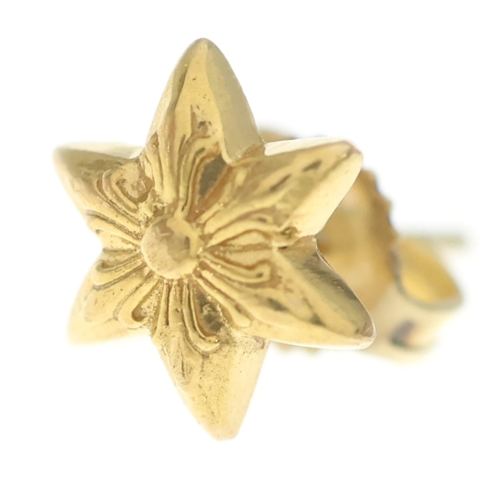 CHROME HEARTS(クロムハーツ) 22K CO STAR スタースタッド ピアス ゴールド