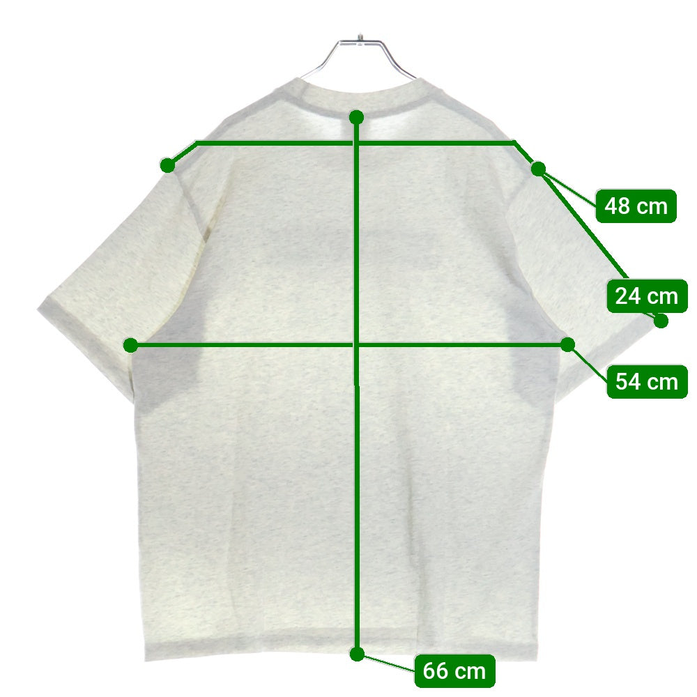 A BATHING APE(アベイシングエイプ) BABY MILO GRAPHIC RELAXED FIT TEE フロントプリント クルーネック半袖Tシャツカットソー グレー 002TEL801302M