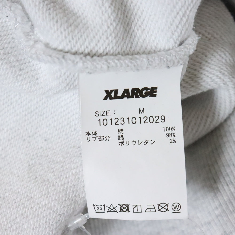 X-LARGE(エクストララージ) デイドリーム プルオーバーパーカー グレー 101231012029
