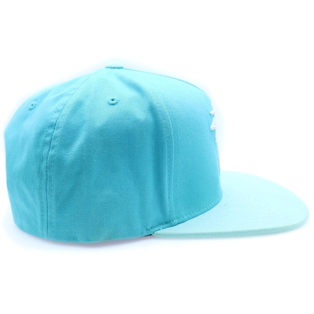 STUSSY(ステューシー) フロント刺繍ロゴ スナップバックキャップ ライトブルー