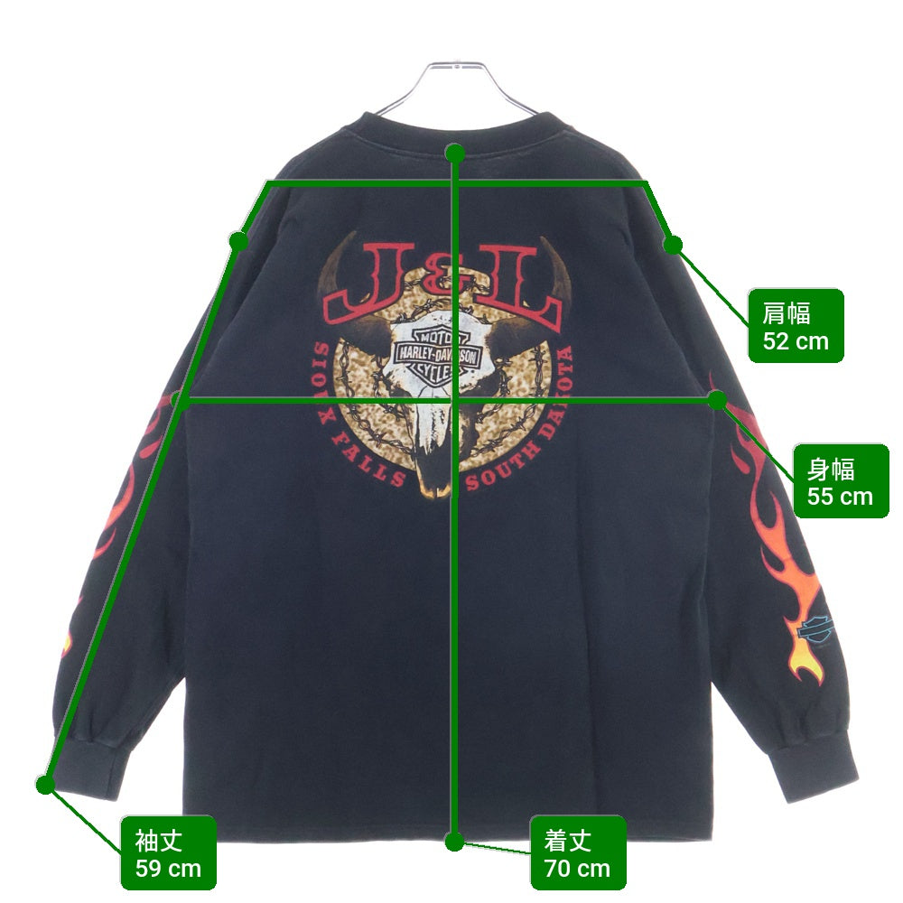 HARLEY DAVIDSON(ハーレーダビッドソン) 90S VINTAGE FLAMES L/S TEE 袖プリント フレイム ファイヤー長袖Tシャツ ブラック