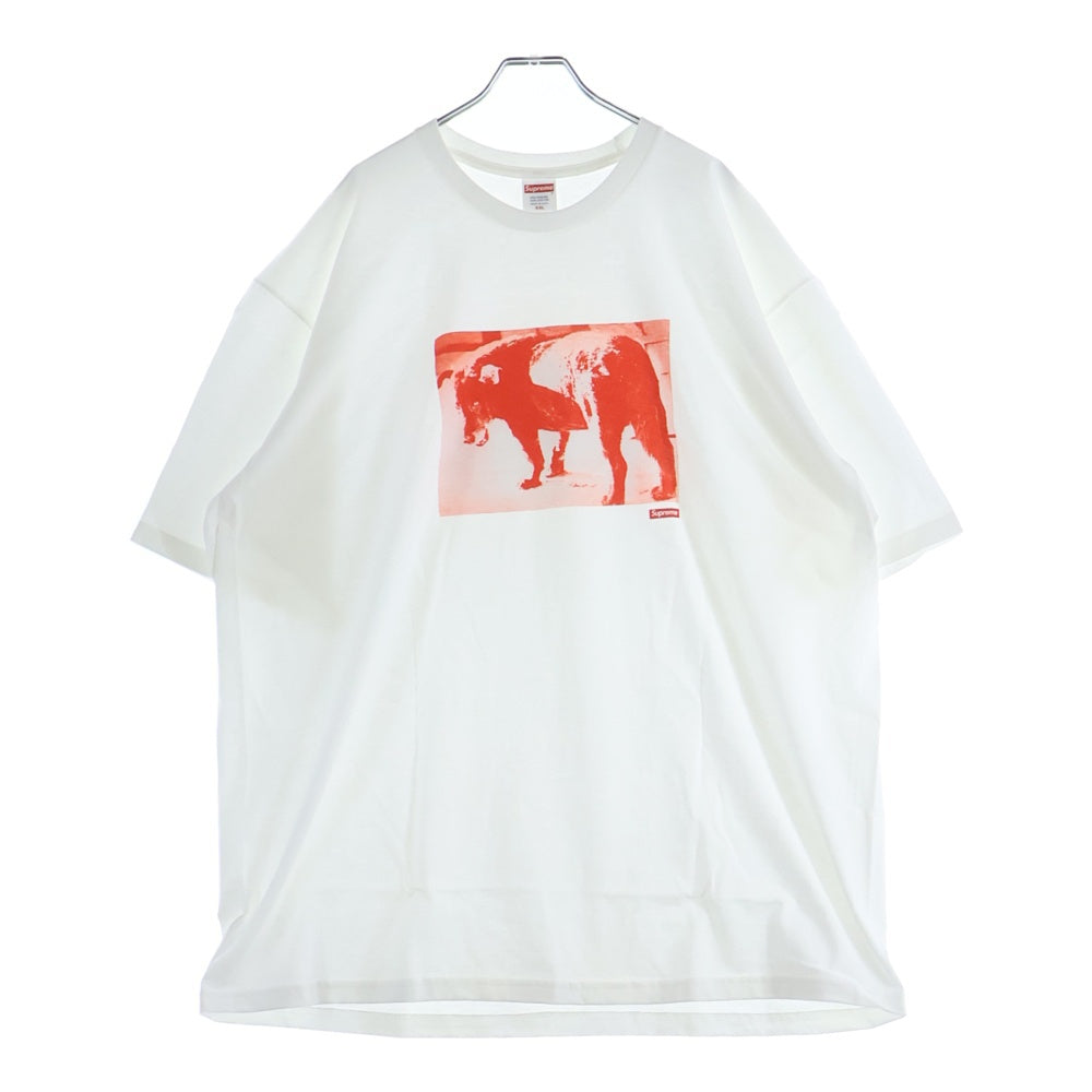 SUPREME(シュプリーム) 22SS Daido Moriyama Dog Tee 森山大道 ドッグ クルーネック 半袖Tシャツ カットソー ホワイト