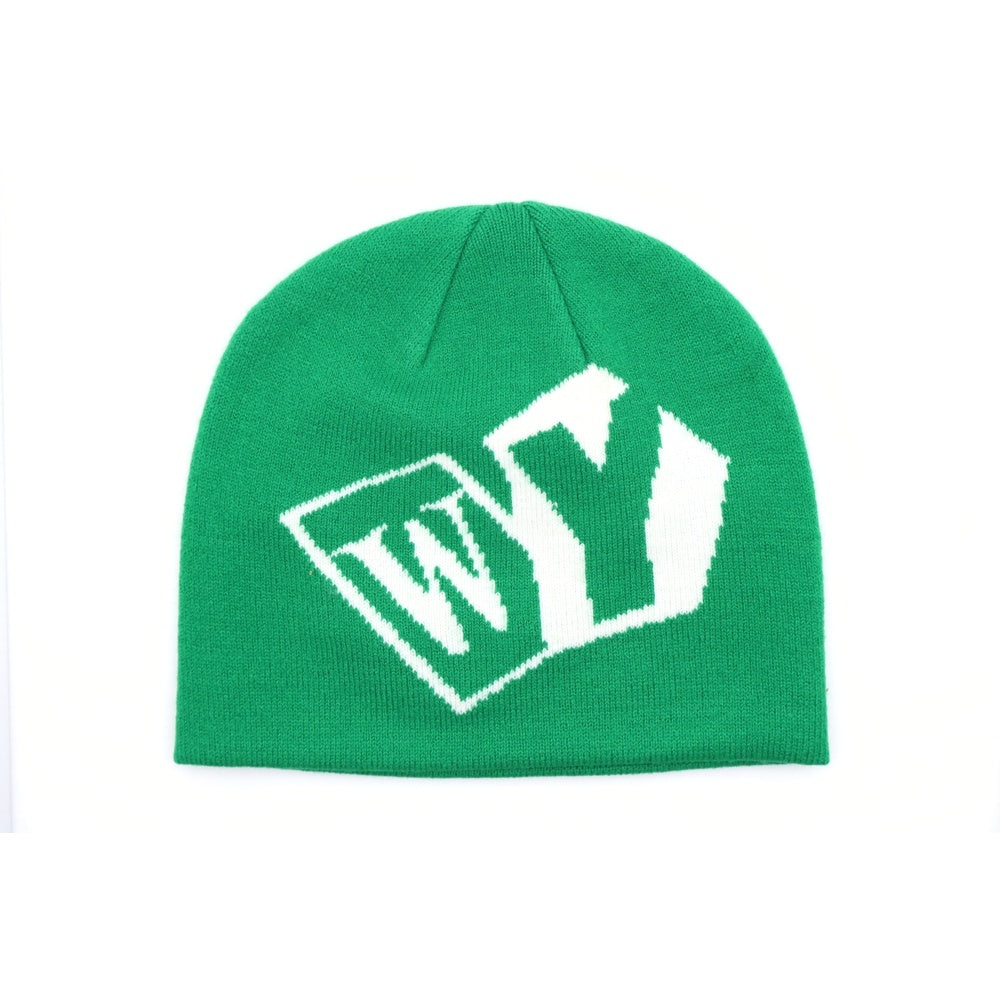 WASTED YOUTH(ウェイステッドユース) グラフィック ロゴ ビーニー ニット帽 グリーン WY25GD013