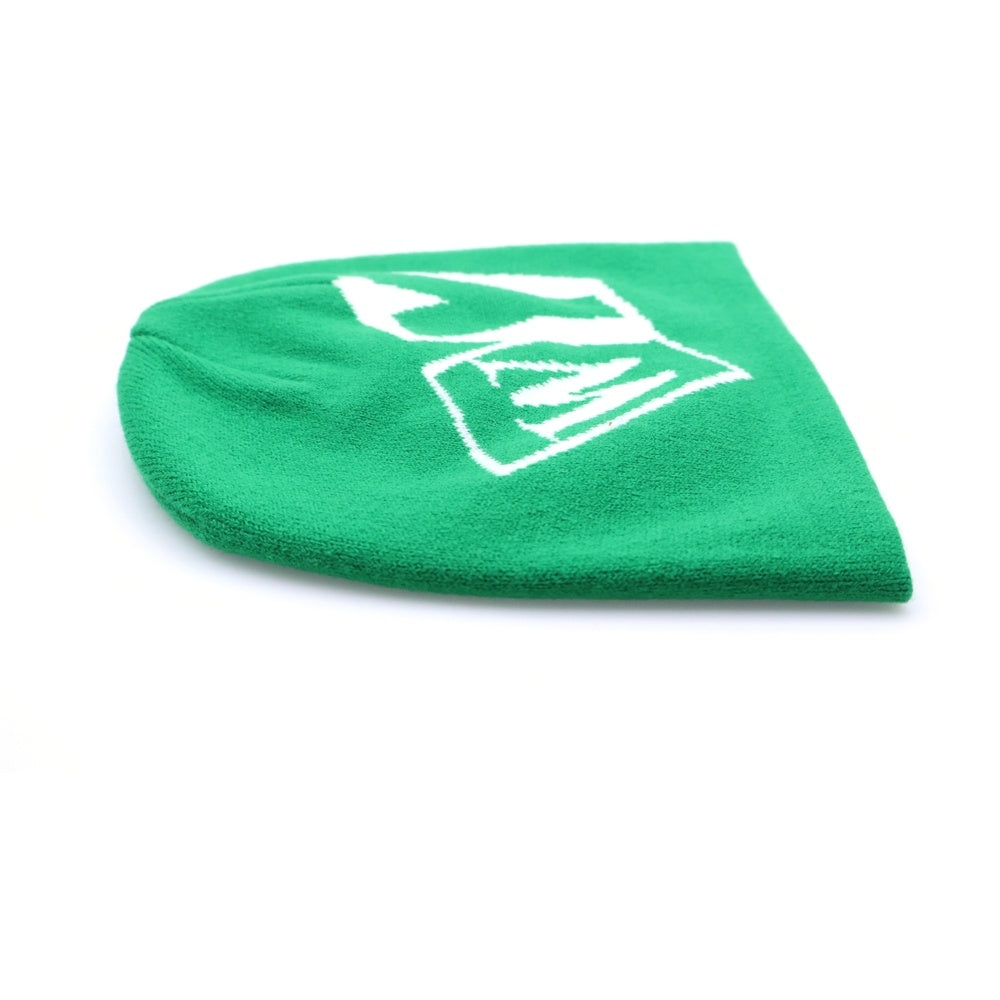 WASTED YOUTH(ウェイステッドユース) グラフィック ロゴ ビーニー ニット帽 グリーン WY25GD013