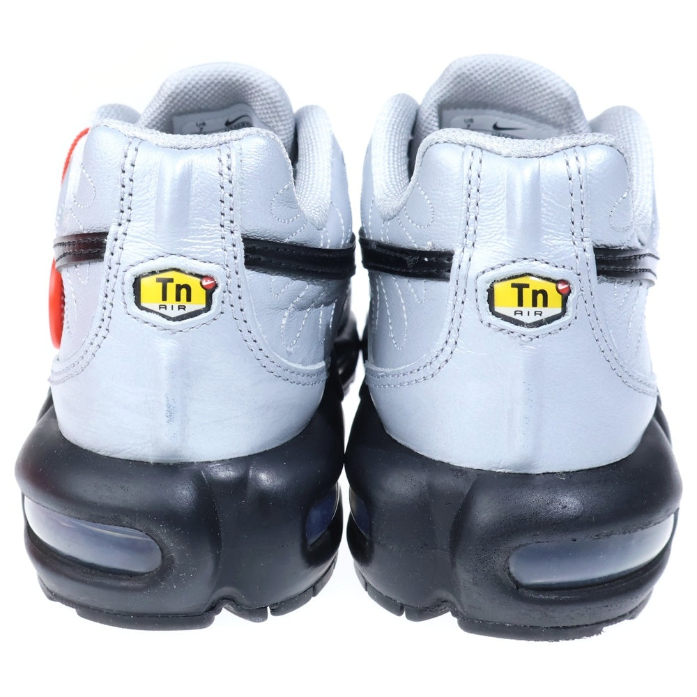 NIKE(ナイキ) Air Max Plus Tiempo エアマックスプラス ティエンポ ローカットスニーカー シルバー US7/25cm HM6850-001