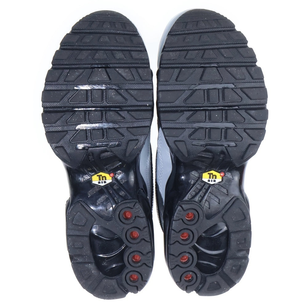 NIKE(ナイキ) Air Max Plus Tiempo エアマックスプラス ティエンポ ローカットスニーカー シルバー US7/25cm HM6850-001