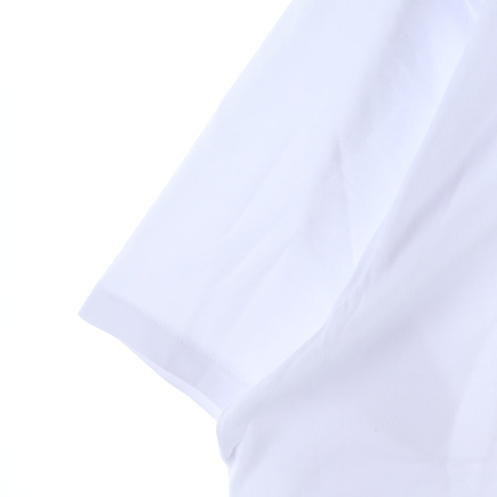 A BATHING APE(アベイシングエイプ) ×WWE WRESTLERS BABY MILO RELAXED FIT TEE フロントプリント クルーネック半袖Tシャツカットソー 2L73-110-920