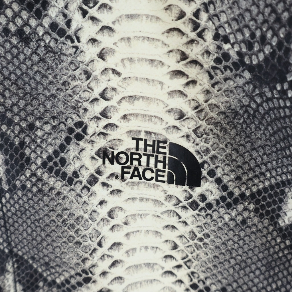 SUPREME(シュプリーム) ×THE NORTH FACE Snakeskin Taped Seam Coaches Jacket ザ ノースフェイス ナイロン スネークスキン テープド シーム 長袖コーチジャケット グレー NP11803I