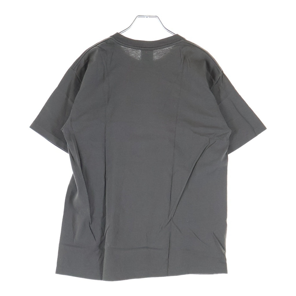 STUSSY(ステューシー) OLD PHOTO PRINT S/S TEE フォトプリント 半袖Tシャツ カットソー オールド コットン グレー