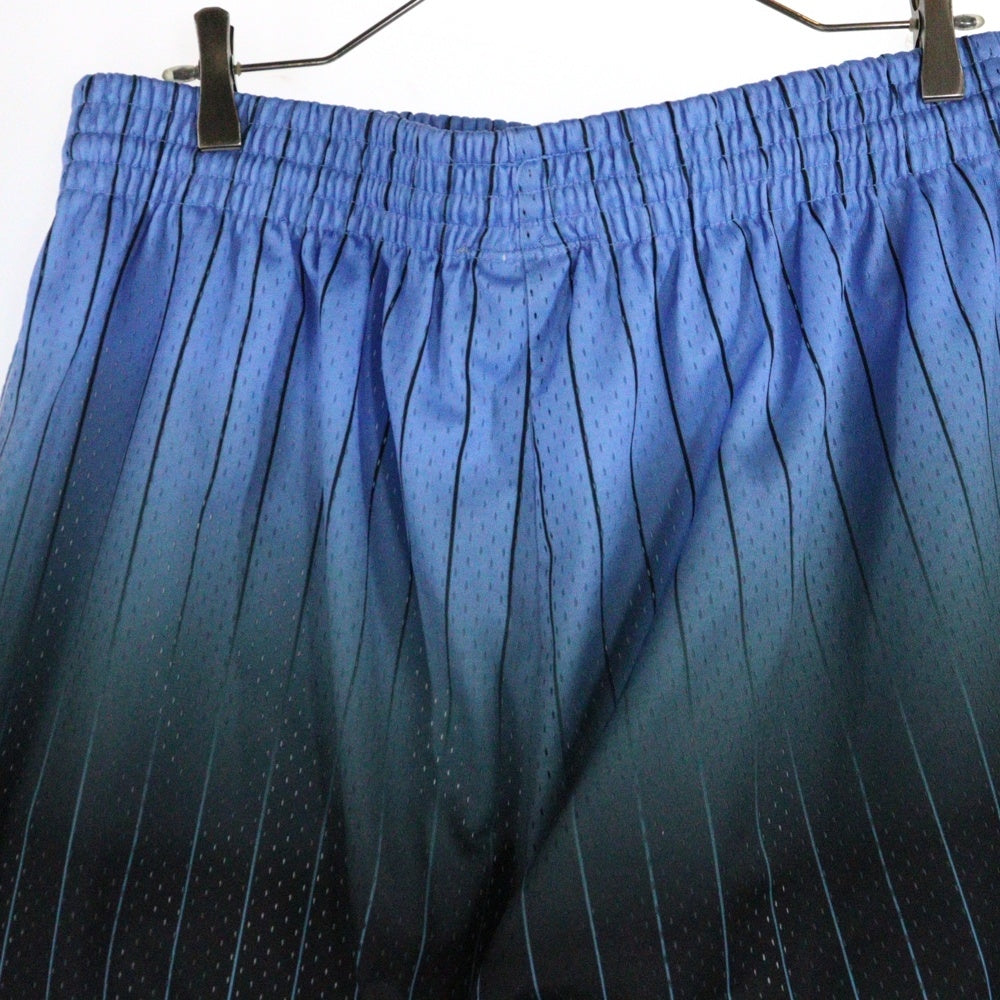 Mitchell&Ness(ミッチェル アンド ネス) CHICAGO BULLS 1995/96 Hardwood Classics Fadeaway Shorts シカゴブルズ ストライプショーツ ショートパンツ ブルー