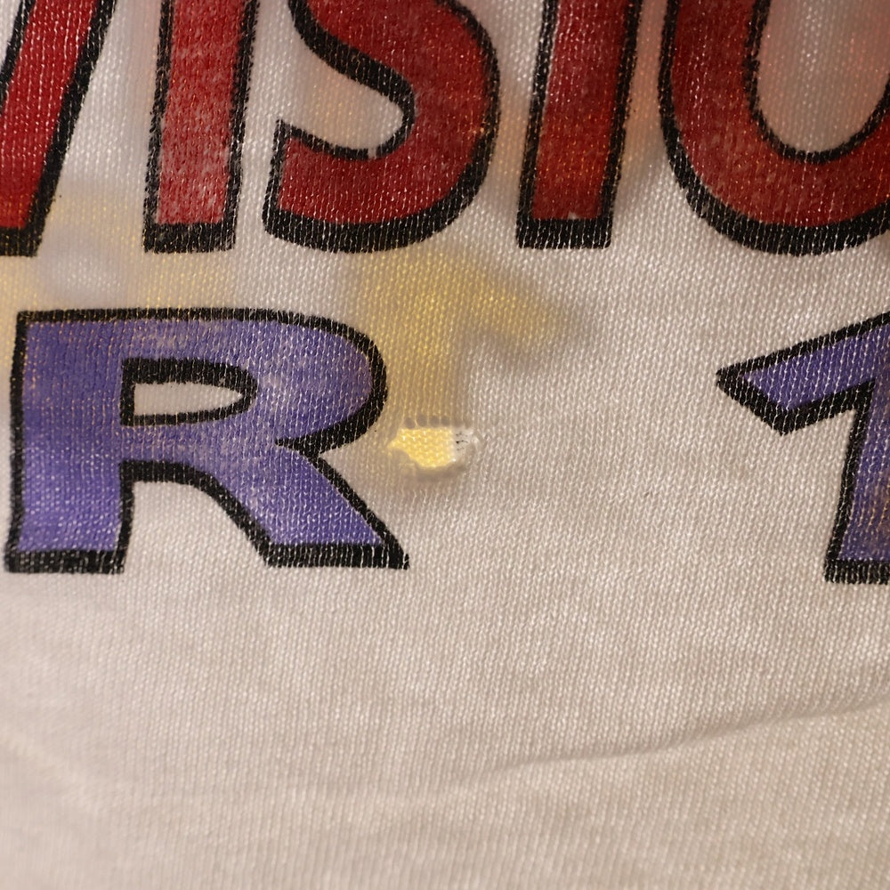 VINTAGE(ヴィンテージ) 90s PINK FLOYD DIVISION BELL TOUR 1994 DELTA タグ ピンクフロイド Tシャツ 半袖カットソー ホワイト