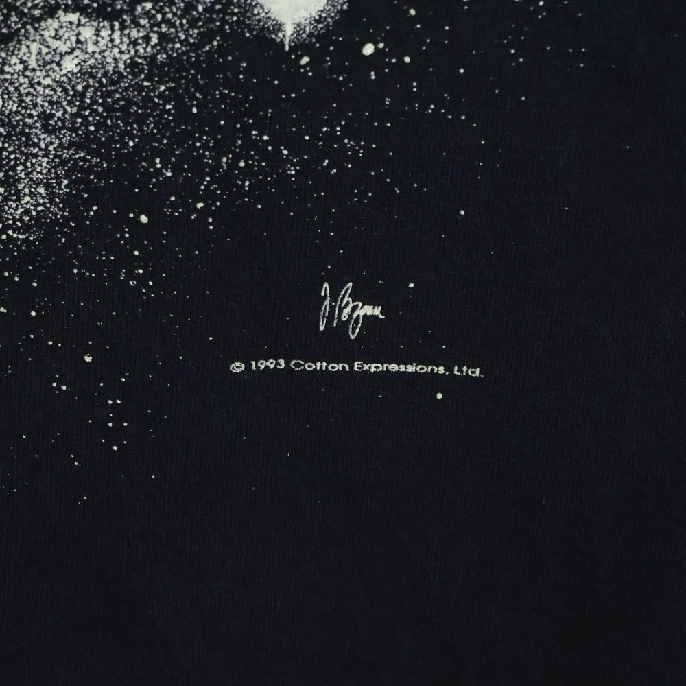 VINTAGE(ヴィンテージ) 90s ALBERT EINSTEIN 1993 SPACE ONE FEELS AS IF ONE IS DISSOLVED アインシュタイン フロント プリント Tシャツ 半袖カットソー ブラック