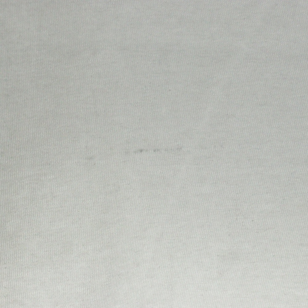 SUPREME(シュプリーム) 24AW Snow White Tee スノーホワイト フォトプリント クルーネック 半袖Tシャツカットソー ホワイト