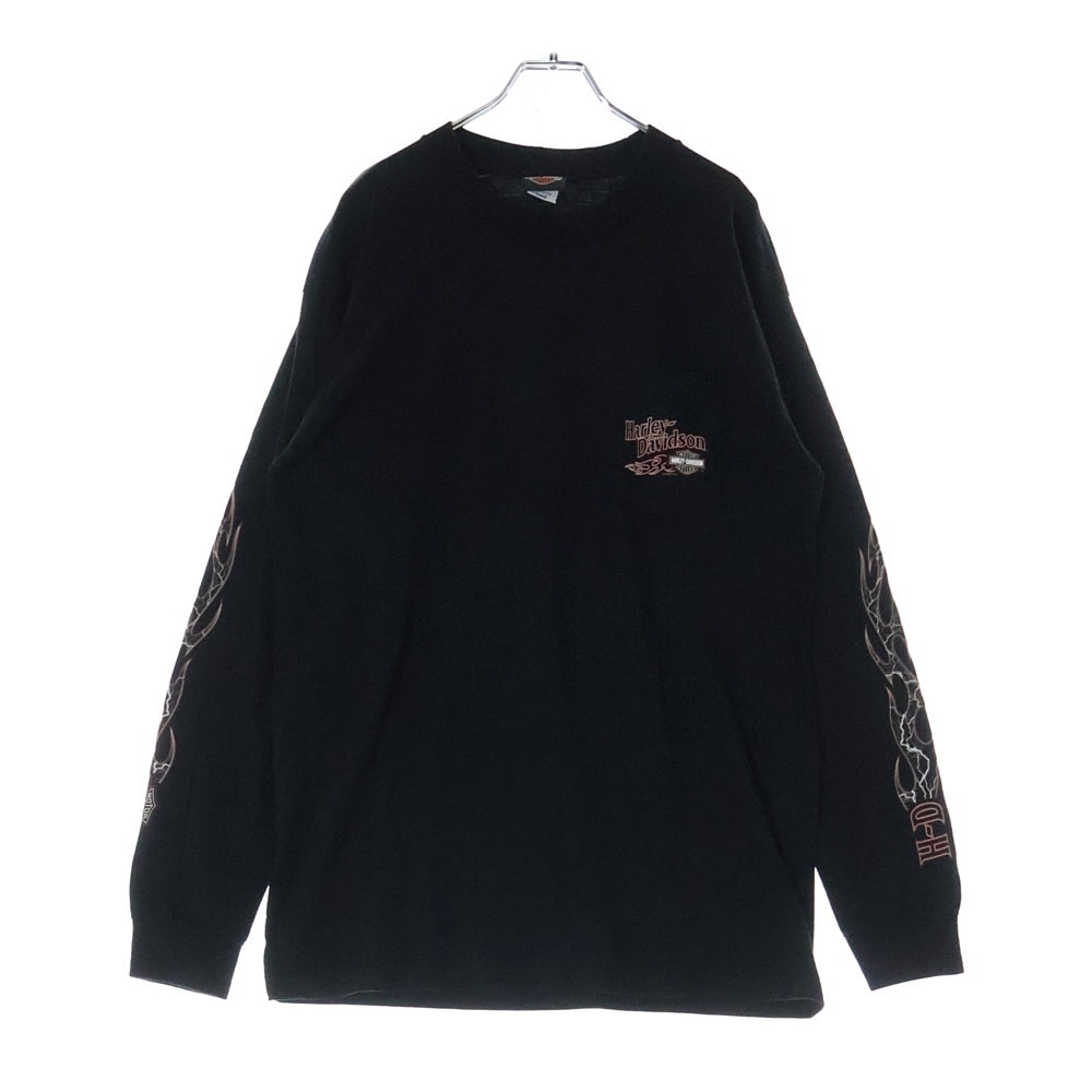 HARLEY DAVIDSON(ハーレーダビッドソン) 00s FLAMES THUNDER L/S TEE 2008 USA製 刺繍 サンダープリント 長袖Tシャツ カットソー ブラック