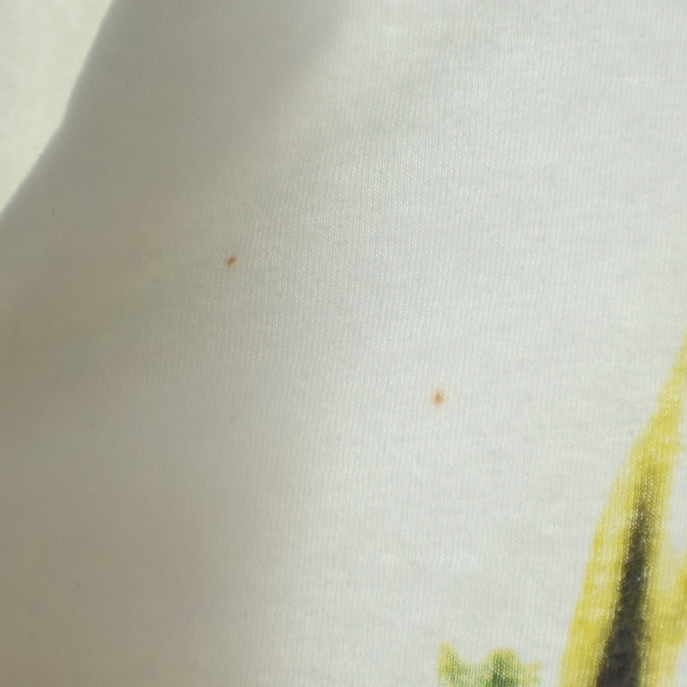 VINTAGE(ヴィンテージ) 90s THE SMASHING PUMPKINS SIAMESE DREAM スマッシングパンプキンズ プリント 半袖Tシャツ ホワイト