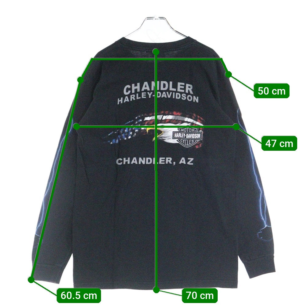 VINTAGE(ヴィンテージ) 00s HARLEY DAVIDSON ハーレーダビッドソン アームサンダープリント 両面プリント Tシャツ 長袖カットソー ブラック