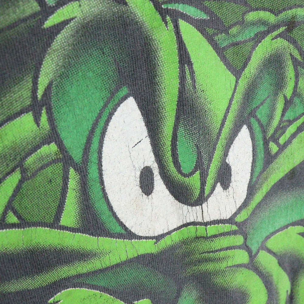 VINTAGE(ヴィンテージ) 90s LOONEY TUNES WILE COYOTE FULL PRINT 1996 ルーニー・テューンズ ワイリーコヨーテ フルプリント 半袖Tシャツ カットソー ブラック