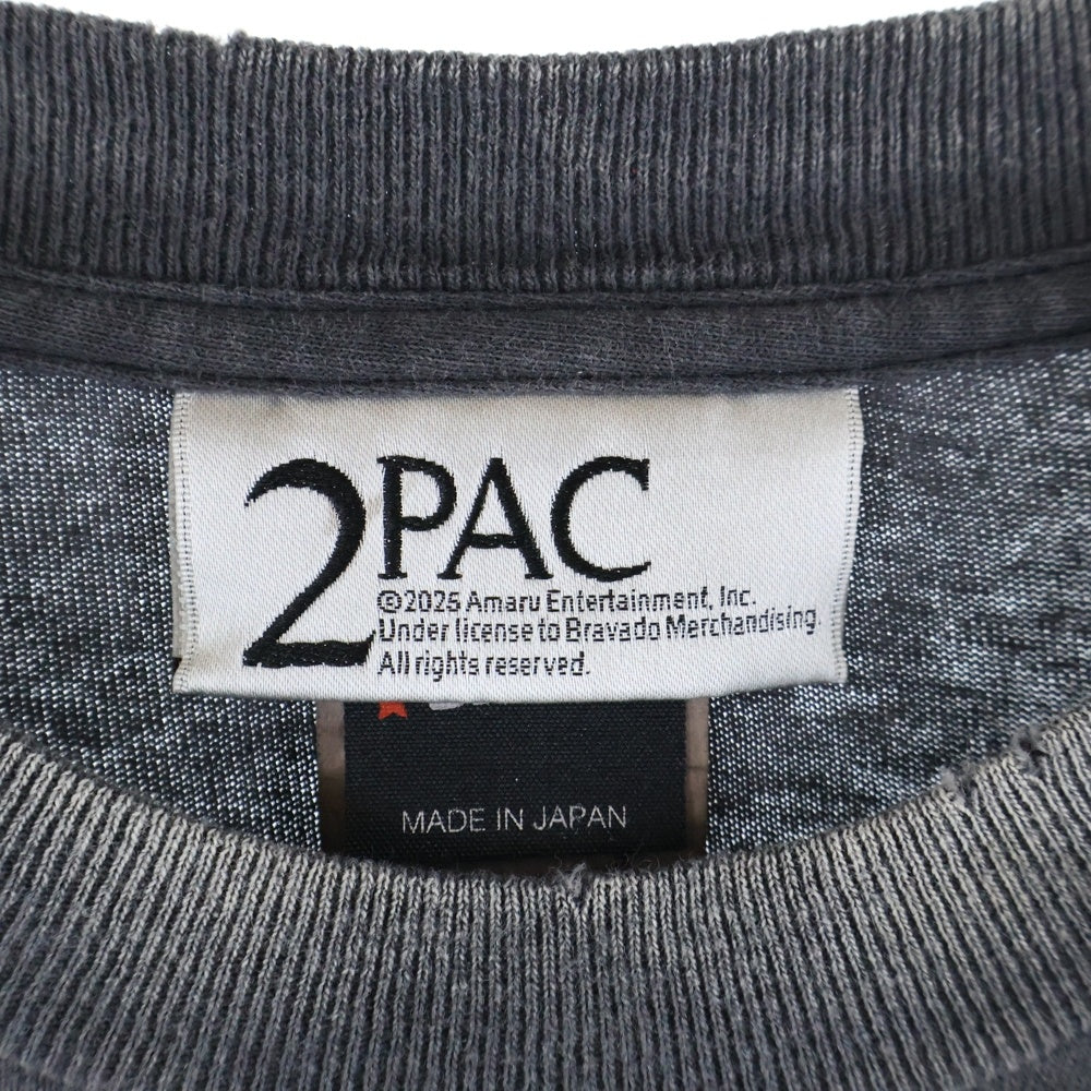 SAINT MICHAEL(セントマイケル) 25SS 2PAC TEE 2パック クルーネック 半袖カットソー Tシャツ グレーSM-HR8-0000-C14